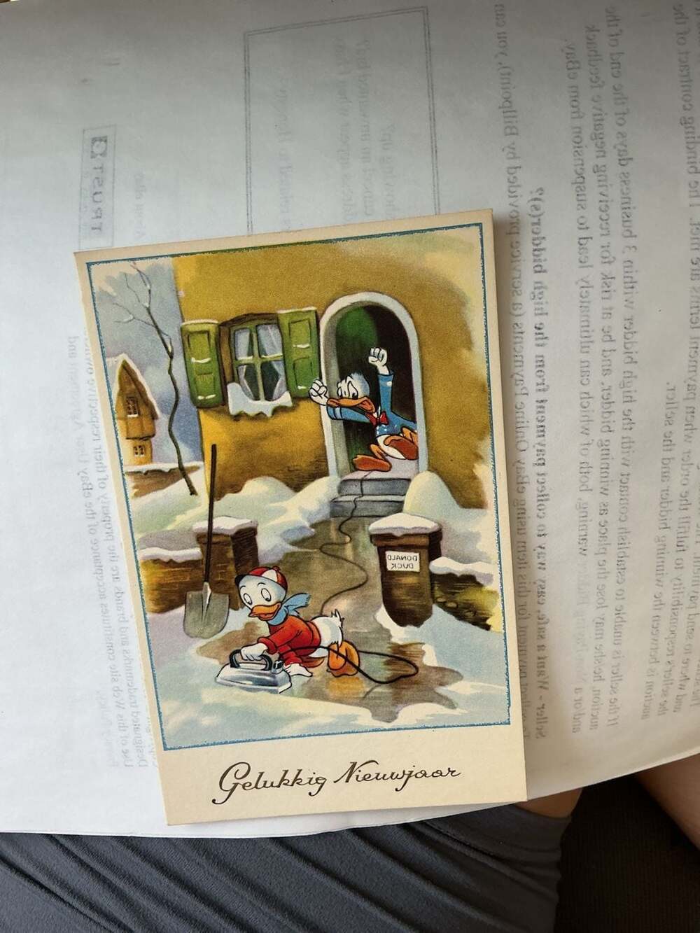 Vintage Disney Donald Duck and Nephew ' New Year Postcard Printed in Belgium